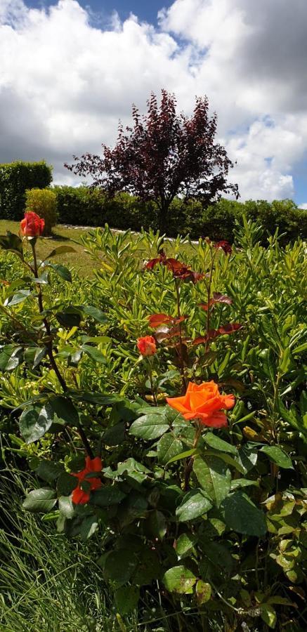 Ca Rosanna Bed & Breakfast Rocca San Felice Exterior foto